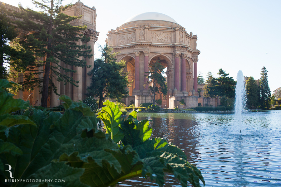 Palace-of-Fine-Arts-and-Golden-Gate-Bridge-San-Francisco-Engagement-Photographer-by-Rubin-Photography-0001.jpg